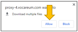 Allow multiple file download