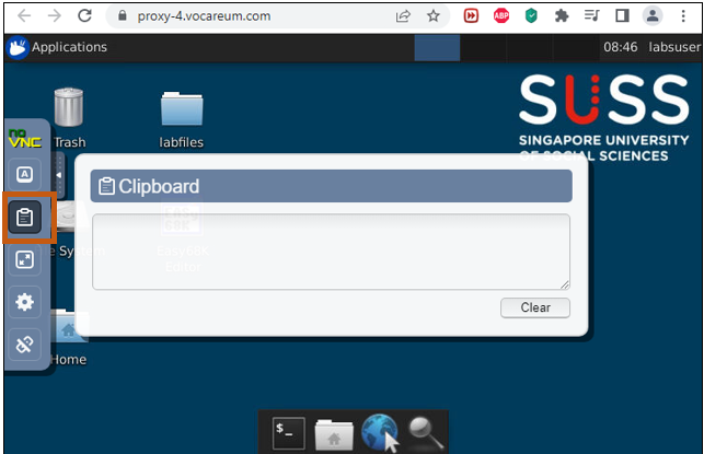 Open noVNC clipboard